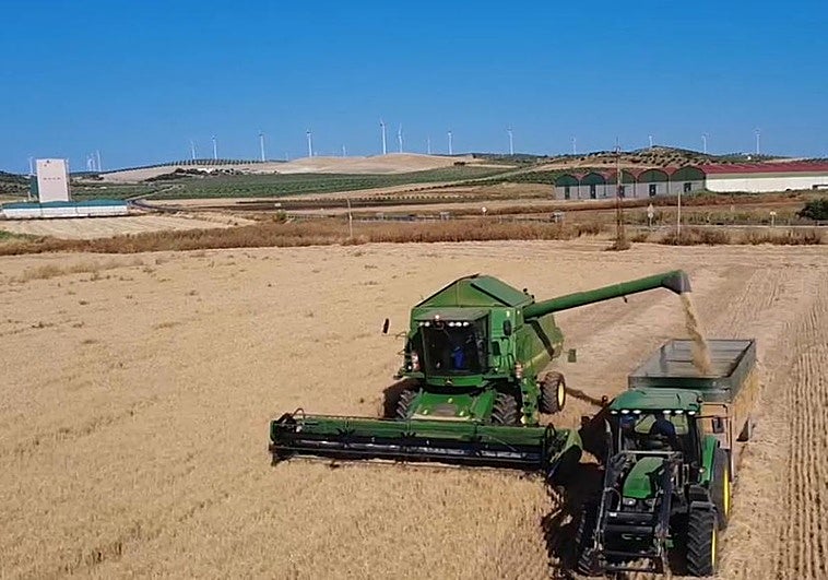 La subida de los fertilizantes por la guerra llega al campo y dispara los precios de la cesta de la compra