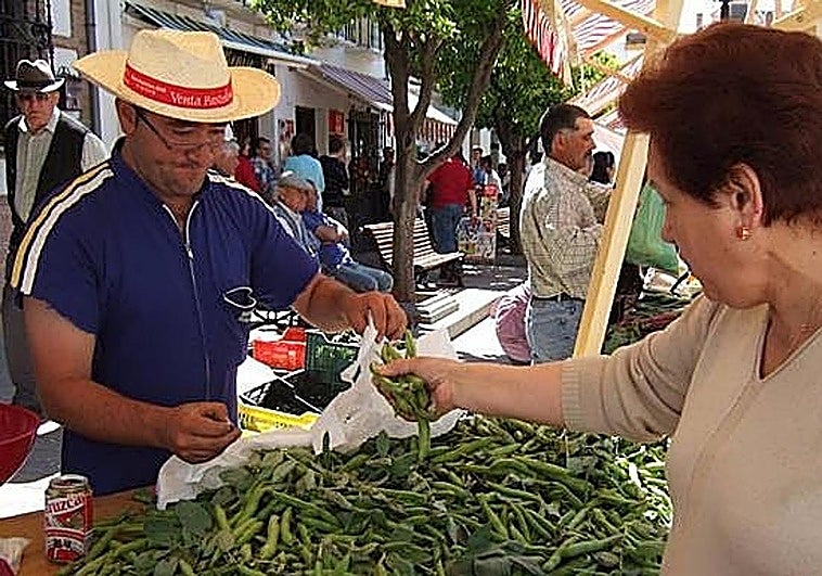 Villanueva de la Concepción celebra su XIX Día de la Haba con varias actividades este domingo