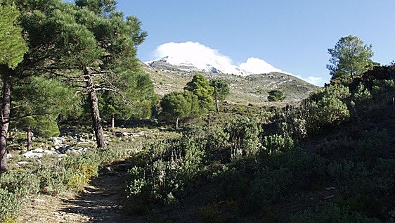 Cinco rutas de senderismo para disfrutar de los parques naturales de Málaga