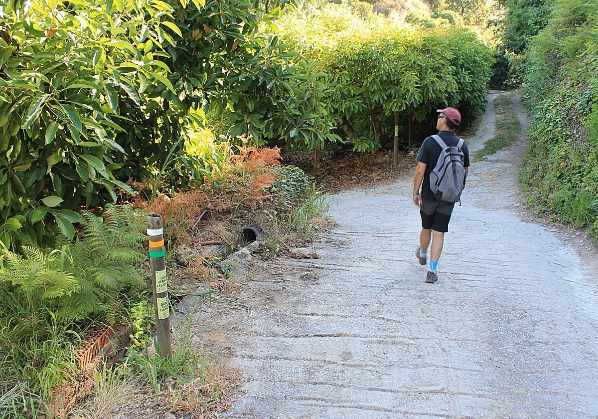 Así puedes seguir haciendo senderismo en Málaga cuando llega el calor