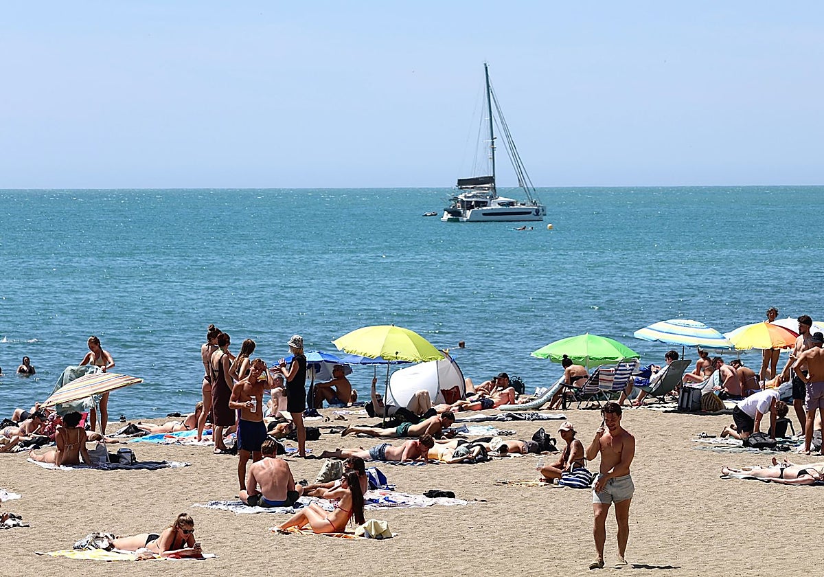 ¿Habrá medusas y natas en las playas de Málaga este verano?