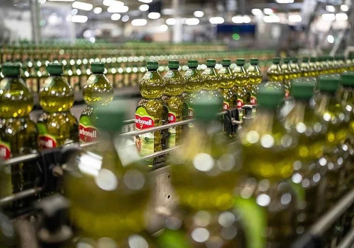 Pugna por el aceitera andaluza Deoleo : Dcoop y Acesur, interesadas en una compra en la que la italiana Coricelli lleva la delantera