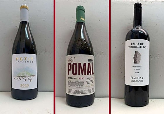 La cata: los vinos recomendados en la cuarta semana de septiembre