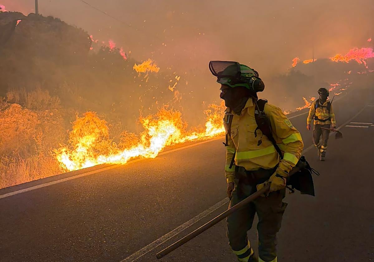Seis personas fallecidas en un incendio forestal en Almería