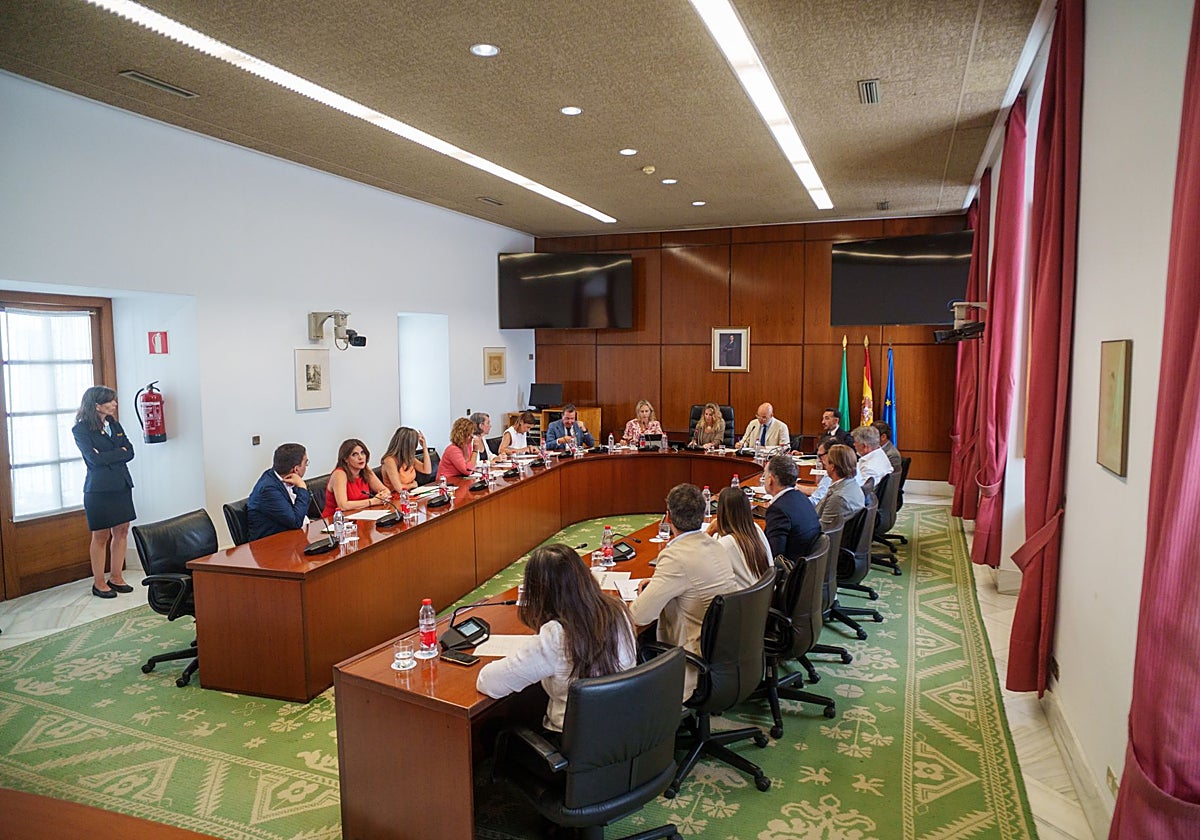 No habrá pleno monotemático por los incendios, pero el curso se iniciará con una comparecencia de Sanz