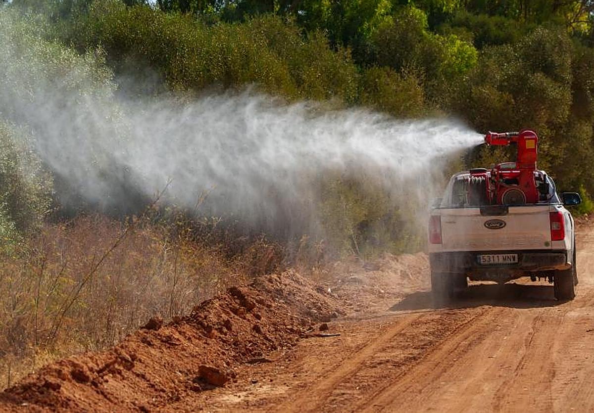 Se elevan a 65 los casos de fiebre del Nilo Occidental en Andalucía