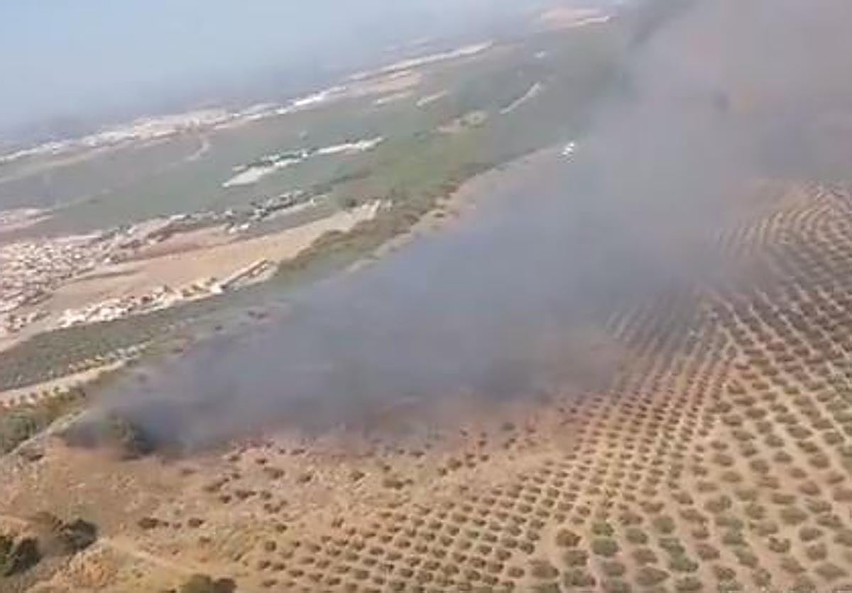Extinguido el incendio forestal de Humilladero y controlado el de Benahavís