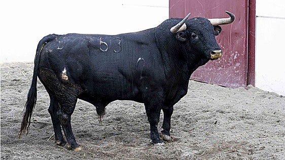 Toros de tres ganaderías para el cartel estrella de la Feria de Málaga