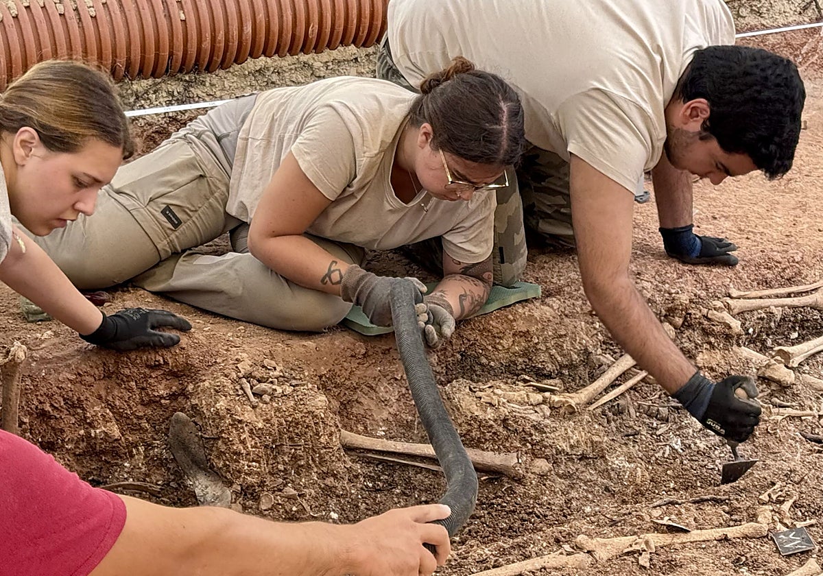 La segunda fosa de Campillos saca a la luz 22 víctimas: seis ya han sido exhumadas