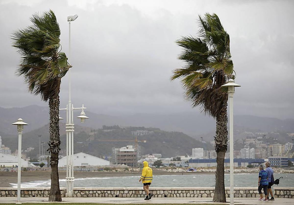 Aemet avisa de tormentas y rachas de viento muy fuertes hoy en Andalucía: hasta de 47 km en Málaga