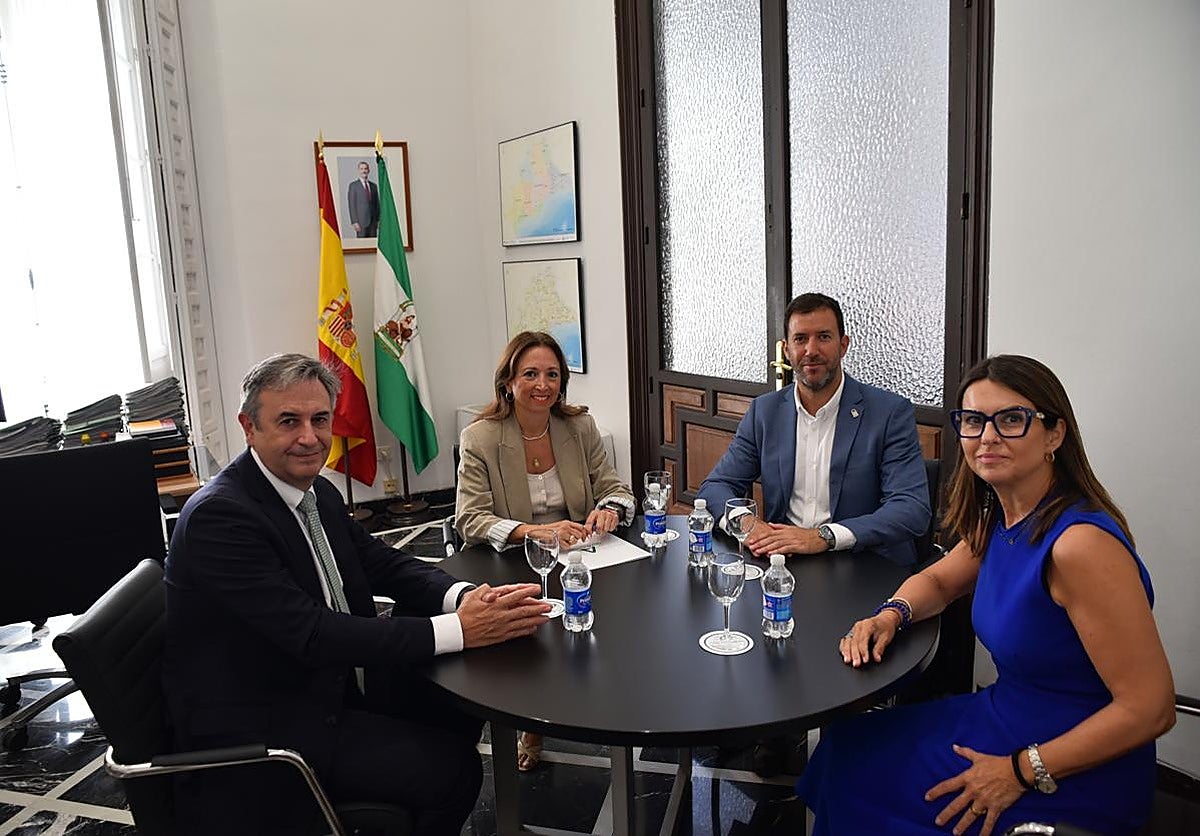 La Junta agiliza la tramitación del Plan Ventilla para reforzar la red eléctrica de la Costa del Sol