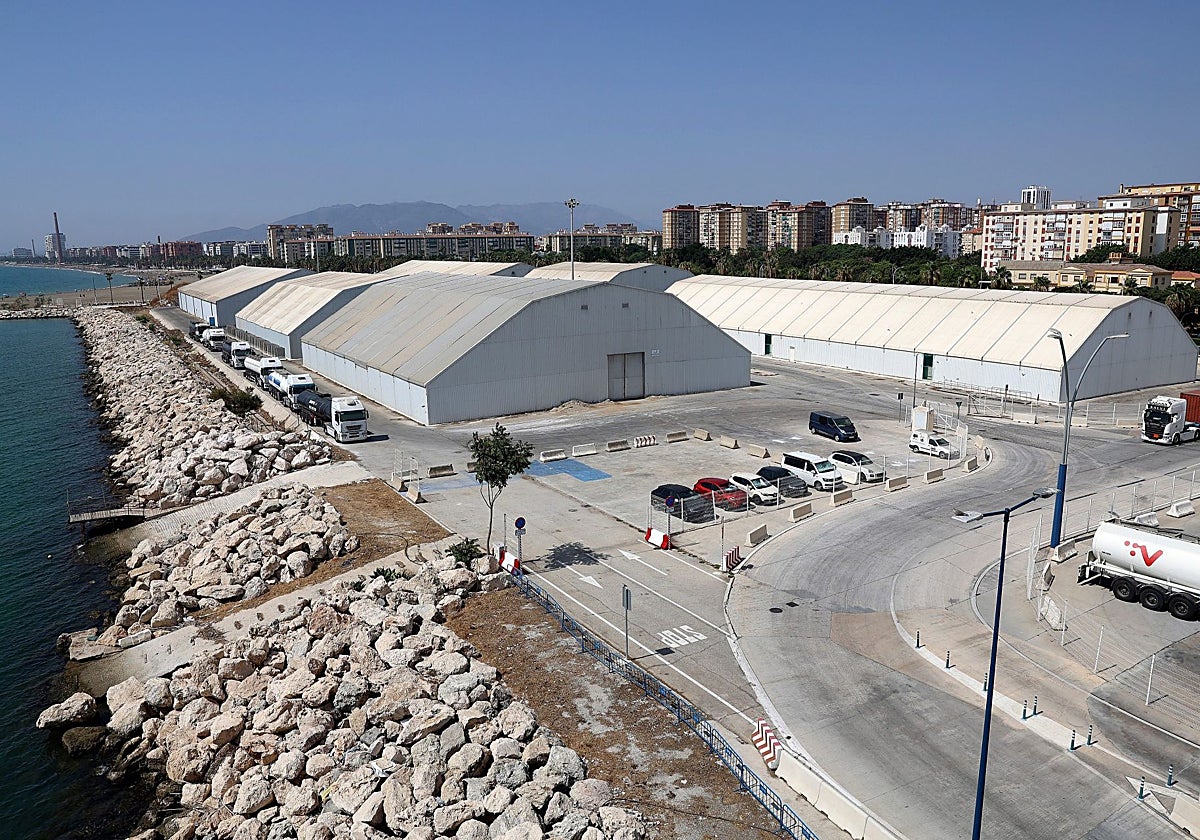El Puerto saca a concurso el estudio para un acceso soterrado paralelo al Guadalmedina
