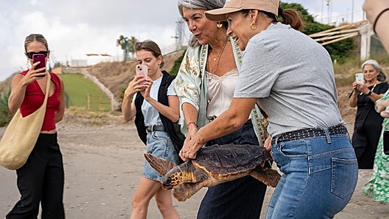 Pepa, la tortuga boba rescatada por segunda vez y de nuevo sana, vuelve al mar en Benalmádena