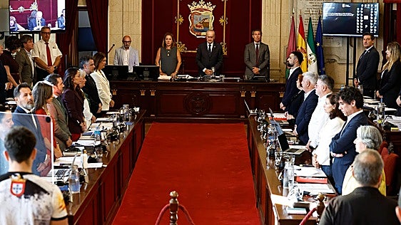 El pleno de Málaga rinde homenaje al joven Nacho tiroteado por error en Barcenillas