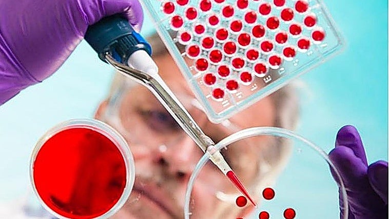 López Trigo: «Los test de edad biológica pueden predecir la probabilidad de sufrir ciertas enfermedades»