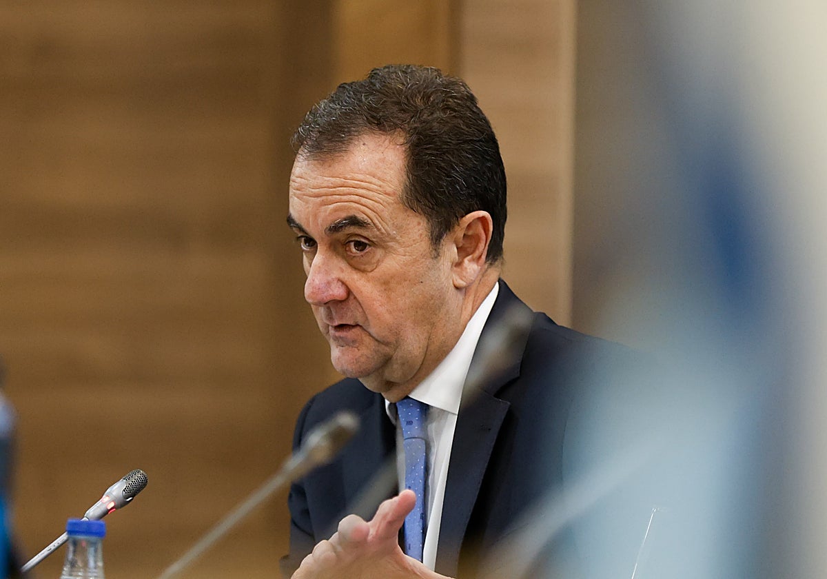 El administrador judicial del Málaga, José María Muñoz.