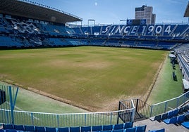 Panorámica del césped de La Rosaleda.