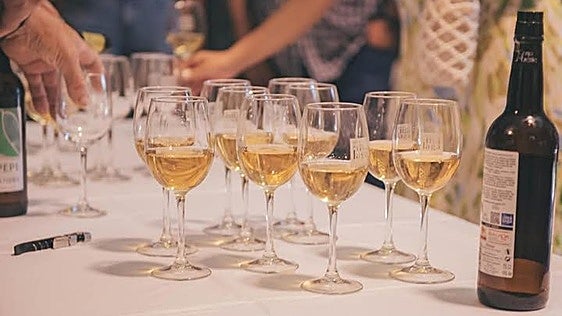 Un vino malagueño de menos de 9 euros y más de seis años de crianza