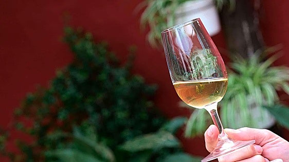 La Diputación de Huelva impulsa la excelencia agroalimentaria de la provincia en el encuentro SUR Wines&Gourmet 2026