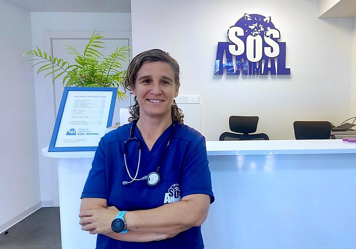 Oncología veterinaria en SOS Animal: Innovación para llenar de vida cada día