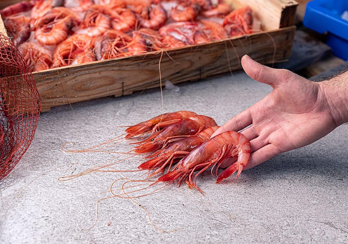 ¿Eres un experto comiendo gambas? Entonces no puedes perderte este original concurso