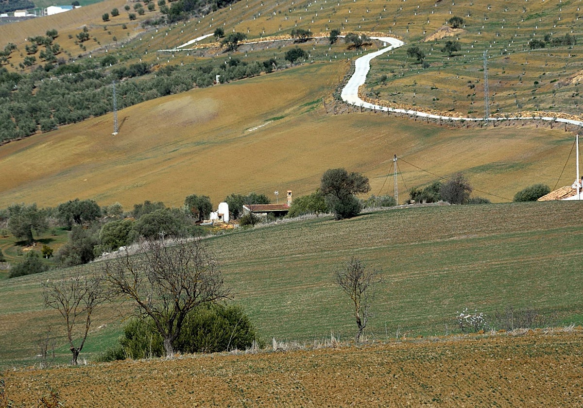 «Solo cinco minutos más»: la empatía de seis agentes evita una tragedia en la comarca de Antequera