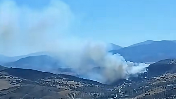 Estabilizado el incendio forestal declarado en el término municipal de Álora