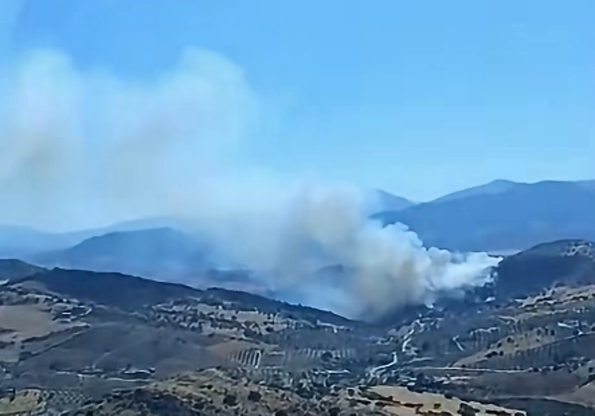 Declarado un incendio forestal en el término municipal de Álora
