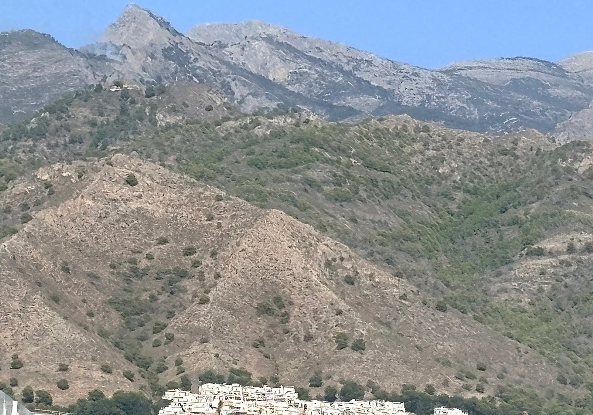 Incendio forestal en el Pico del Almendrón de Nerja