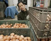 La OMS anuncia dos nuevas víctimas mortales por la gripe aviar en China