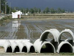 La medida permitirá llevar a Barcelona agua procedente de los excedentes de los regantes del delta del Ebro. /EFE