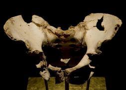 Restos fósiles descubiertos en Atapuerca revelan la solidaridad que existía entre los homínidos