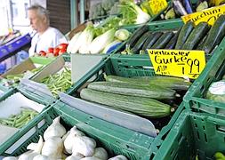 La bacteria 'E. coli' se transmite de persona a persona