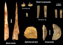Hallados en Italia los restos más antiguos del Sapiens en Europa