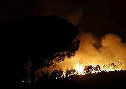 Incendio forestal declarado a finales de agosto en la localidad malagueña de Coín. / Foto: Jorge Zapata (Efe) | Vídeo: Europa Press