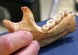 El 'Homo antecessor' medía 173 centímetros