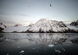 Imagen de la exposición de 'El Ártico se rompe'. /Andoni Canela (Efe)