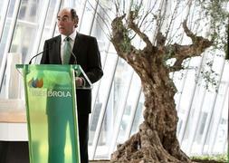 Ignacio Sánchez Galán, presidente de Iberdrola./ Archivo
