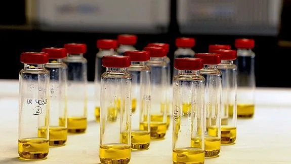 Pruebas con aceite de oliva en un laboratorio.
