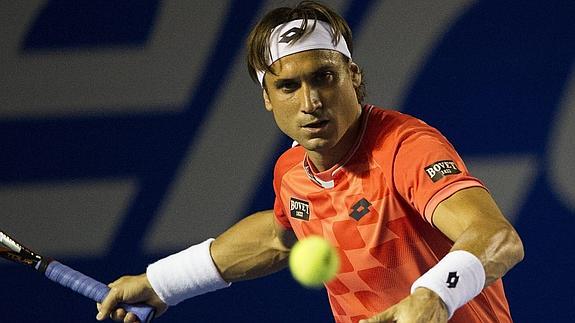 David Ferrer. 