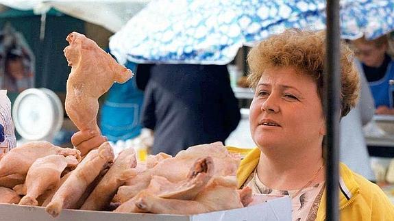 La carne de pollo es el alimento más frecuentemente infectado por la bacteria Campylobacter. 