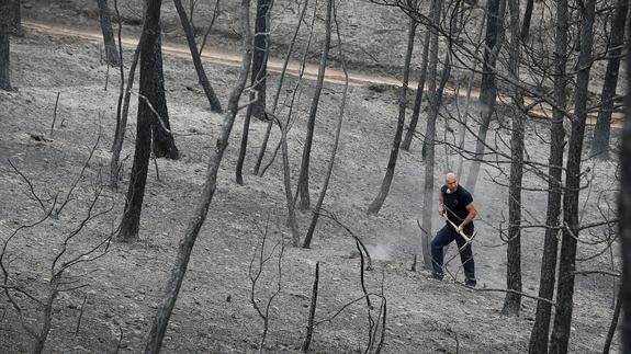 Un bombero trabaja en la zona quemada por el incendio.