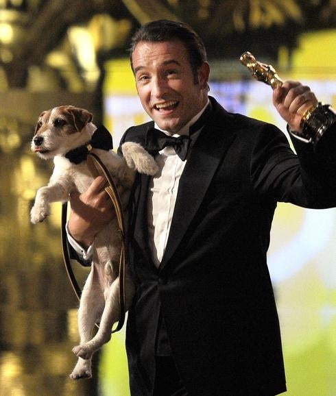Muere 'Uggie', el perro de 'The Artist'