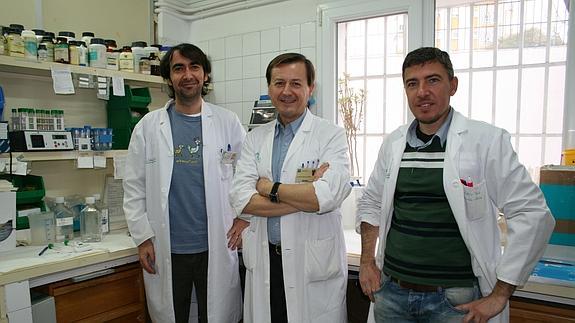 Un método para predecir cuál embrión es mejor para la fecundación in vitro