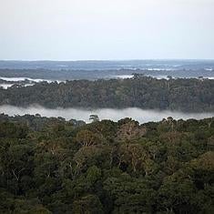 Vista de la Amazonia desde un observatorio en Brasil.