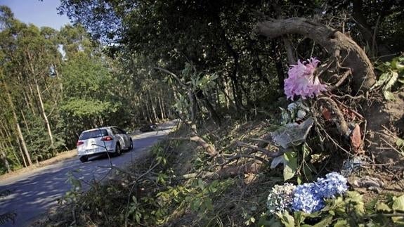 Flores en el lugar donde ocurrió el accidente. 