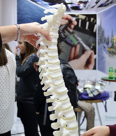 Modelo de columna vertebral impresa en 3D.