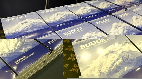Copias del informe del presupuesto para el año fiscal 2017. 