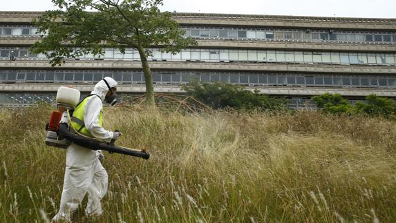 Un trabajador fumiga contra el virus del zika.