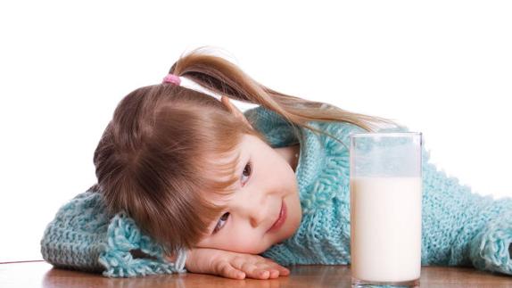 Los productos lácteos contienen los tres principios inmediatos, proteínas, hidratos de carbono y lípidos, así como determinados minerales y vitaminas. 